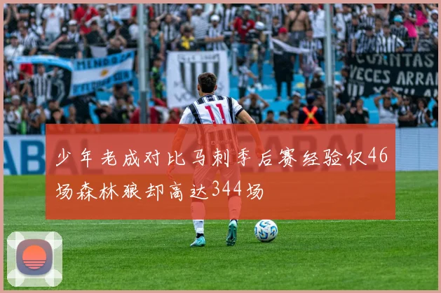 少年老成对比马刺季后赛经验仅46场森林狼却高达344场