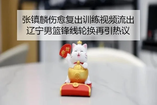 张镇麟伤愈复出训练视频流出 辽宁男篮锋线轮换再引热议 | BEIBO